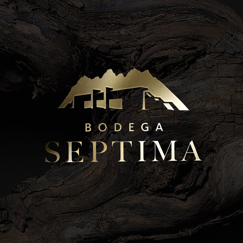 Bodega Septima